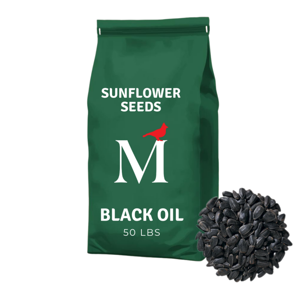 bulk black oil sunflower seeds for planting Black Oil Sunflower Seed, 50lbs — Mackey's