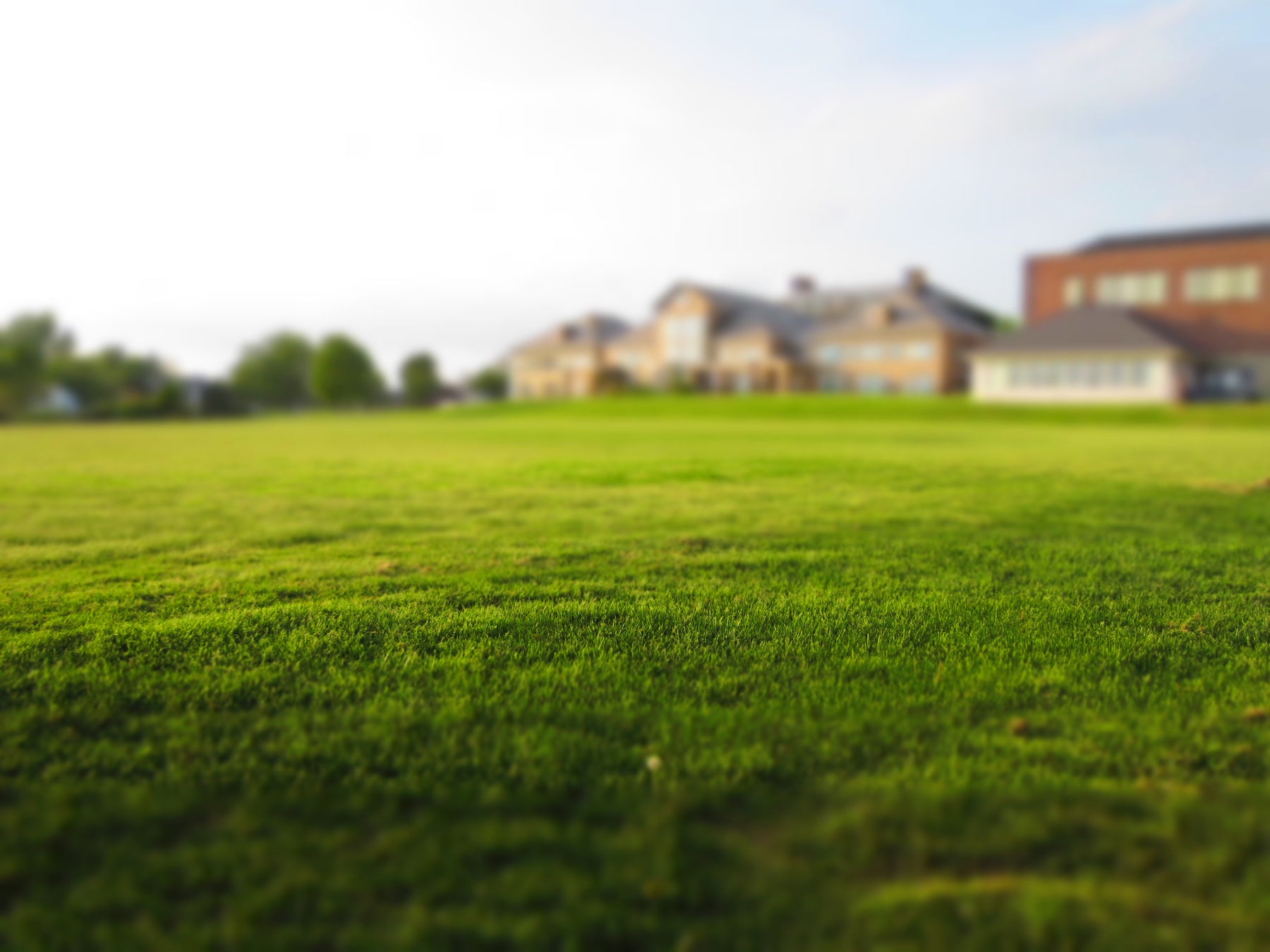 How to Plant Grass Seed in the Fall