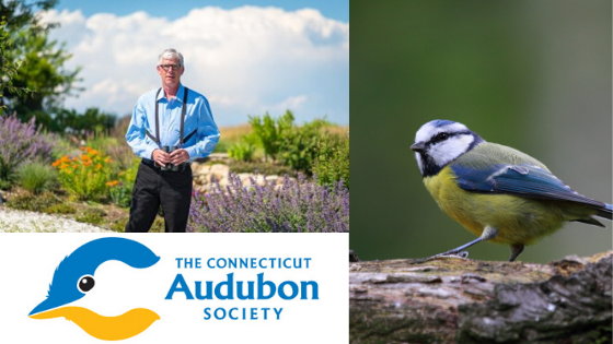 The Wildlife Among Us: Connecticut Audubon Society's Patrick Comins