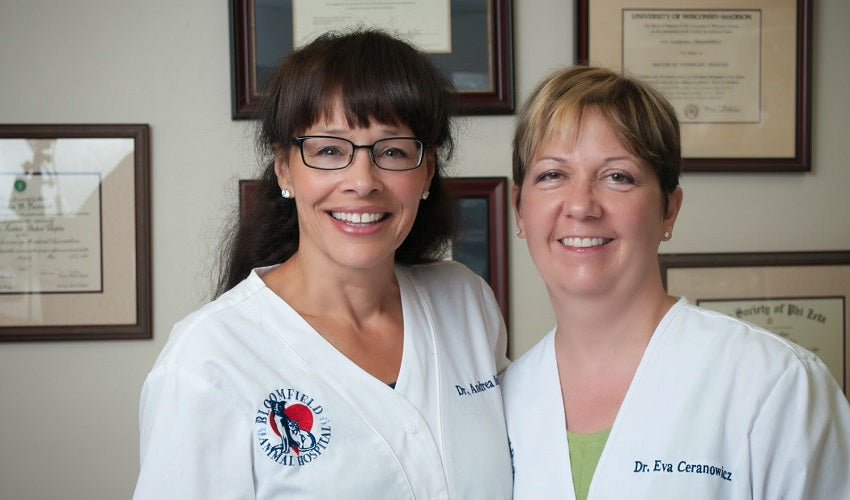 Growing Home Ep. 4 - Holiday Pet Safety with Dr. Dennis & Dr. Ceranowicz