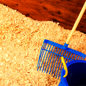 Farm Bedding