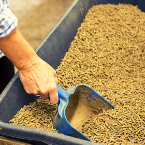 Farm Feed