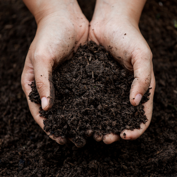 Soils