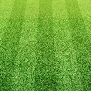 Lawn Care