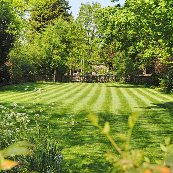 Spring Lawn Care
