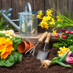 Gardening