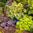Foamy Bells, Fun and Games® Eye Spy Foamy Bells