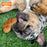Nylabone Power Chew Pretzel Dog Toy, Small - for dogs up to 25lbs