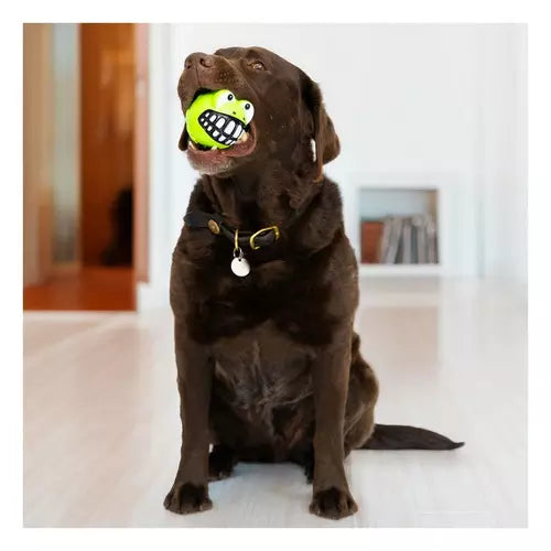 KONG Grinz Frog Dog Toy, Large