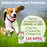 Healthy Promise™ Cat & Dog Ear Wipes, 35ct