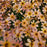 Tickseed, Permathreads™ Shades of Rose Coreopsis