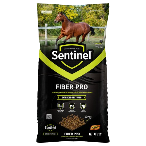Blue Seal Sentinel Fiber Pro