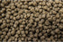BUCKEYE™ Nutrition ULTIMATE FINISH™ 25
