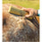 SleekEZ Ultimate Deshedding Grooming Tool