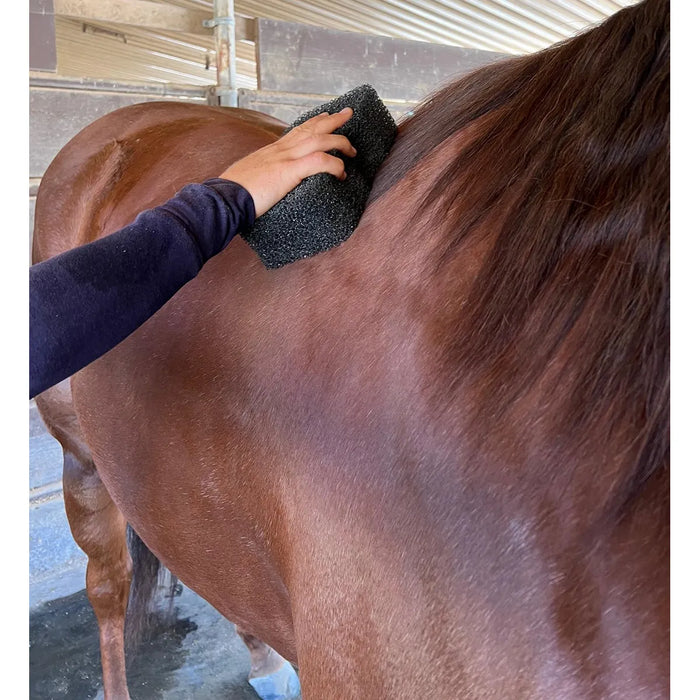 Tiger's Tongue Horse Groomer Epona