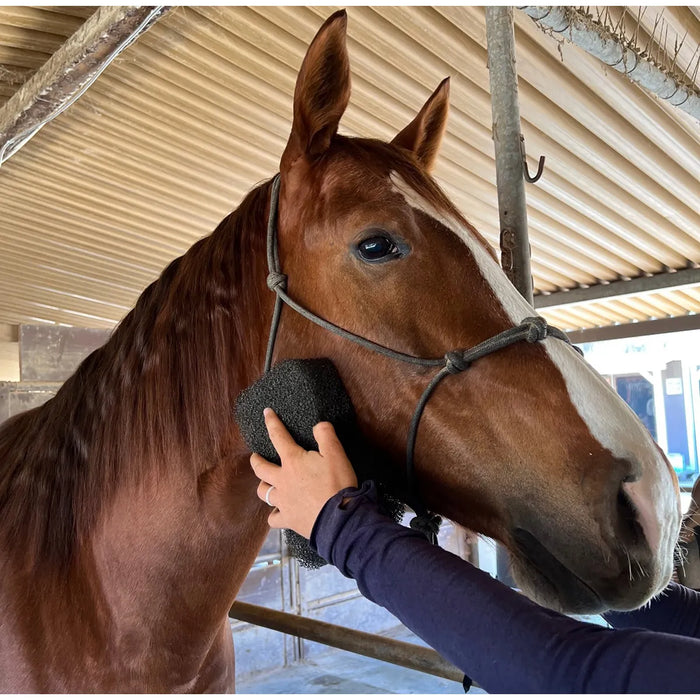 Tiger's Tongue Horse Groomer Epona