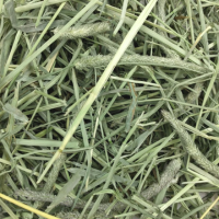 Oxbow Western Timothy Hay