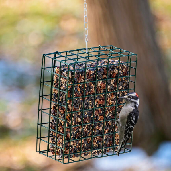 Neatfeeder XL Suet/Seed Cake Feeder
