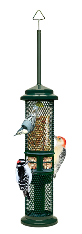 Squirrel Buster® Nut Feeder - 1.3lb Capacity
