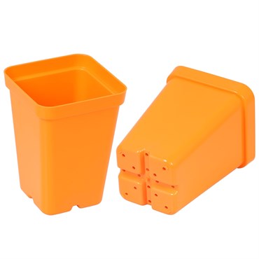Sunpack Square Pot - 2.5in - Orange