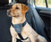 Carsafe Travel Dog Harness