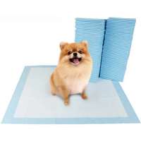 Cadet Hands Off Training Pads, 22"X23", 100ct