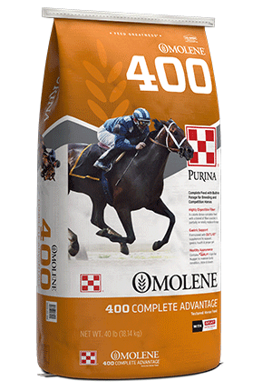Purina Omolene 400 Complete Advantage Horse Feed