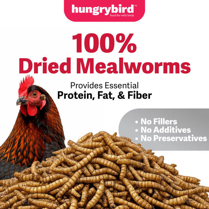 Hungrybird Dried Mealworms, 5lbs