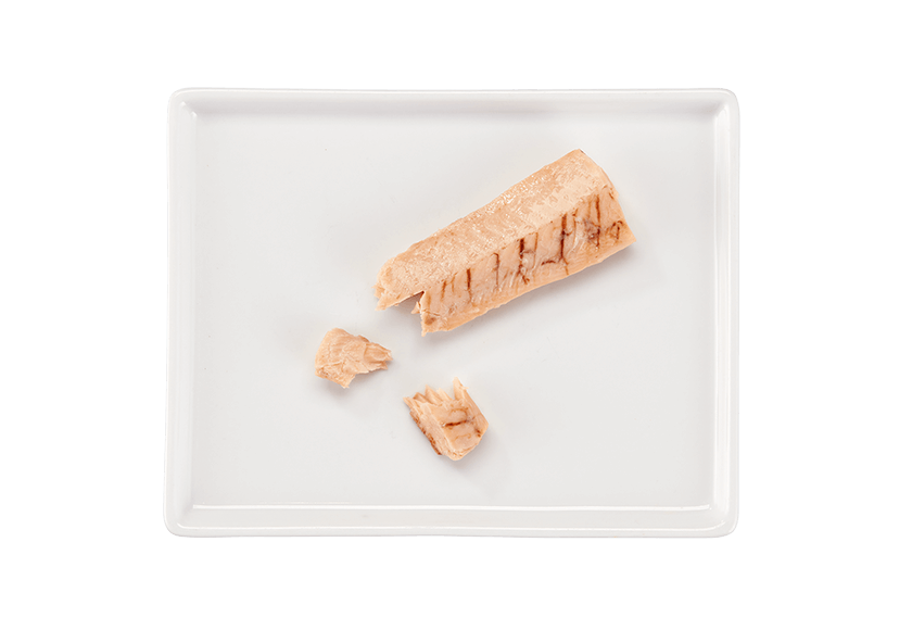 Tiki Cat® Filets™ Salmon Cat Treat, 1oz