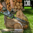 EGO POWER+ 16” Chain Saw Kit (2.5Ah Battery, 56V 210W Charger)