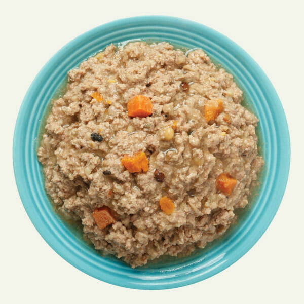 Earthborn Holistic K95 Turkey Canned Dog Food, 13oz