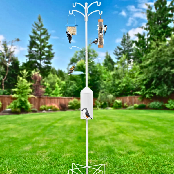 8-Piece Bird Feeding Station