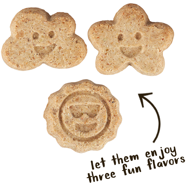 Cloud Star Wag More Bark Less Grain Free Mini Biscuits Turkey & Cranberry Dog Treats, 7oz