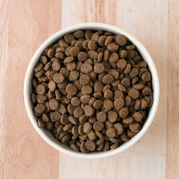 Earthborn Holistic Ancient Grains & Superfood (Unrefined) Smoked Salmon Recipe Dry Dog Food