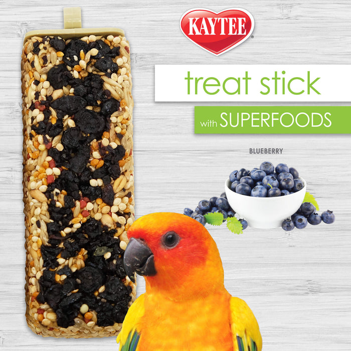Kaytee Blueberry Superfood Treat Stick for Pet Birds, 5.5oz
