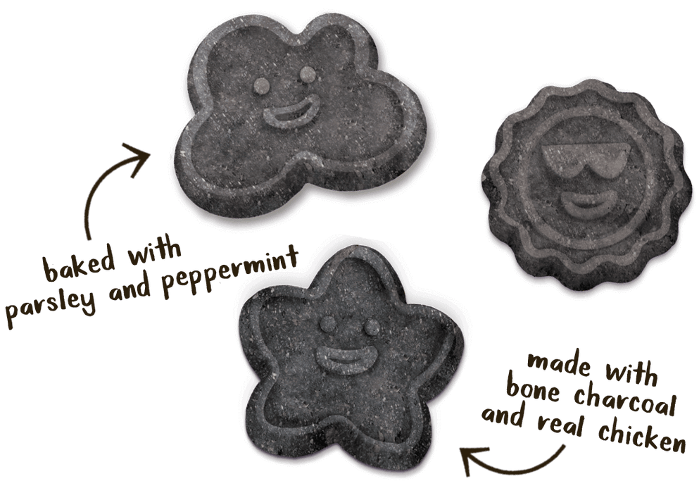 Cloud Star Wag More Bark Less Charcoal Dental Biscuits Dog Treats, Chicken, 14oz