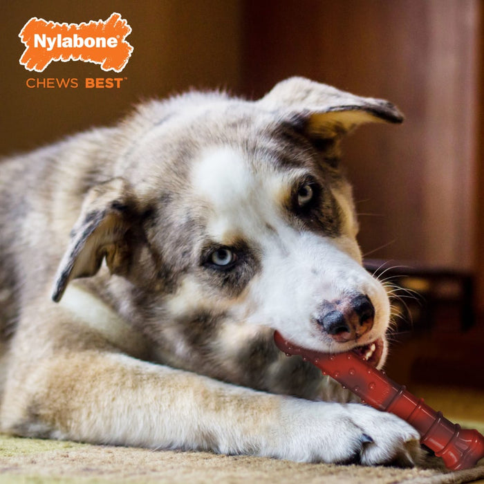 Nylabone Power Chew Original & Textured Bone Chew Dog Toy