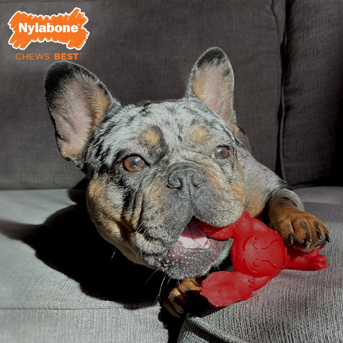 Nylabone Power Chew Lobster Dog Toy, Small - for Dogs up to 25lbs