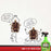 UltraShield® Green Natural Fly Repellent