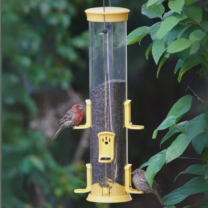 Large Plastic Thistle Tube Wild Bird Feeder, 2.1 qt capacity
