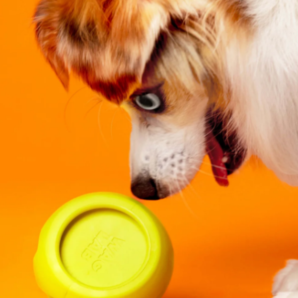 WAGLAB Play Stack Interactive Dog Toy The Boomerang
