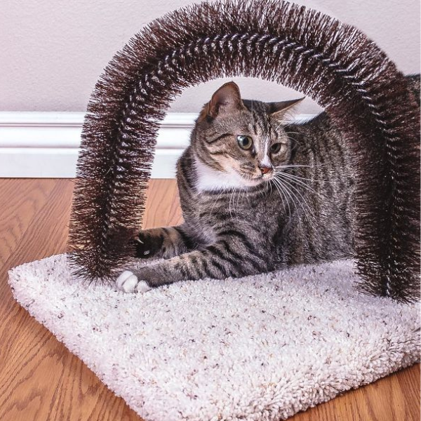 Brush N' Scratch Cat Scratcher & Groomer