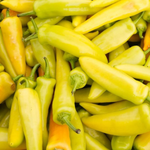 Organic Pepper Plant, Hungarian Hot Wax - 3.5" pot