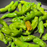 Organic Pepper Plant, Shishito - 3.5" pot