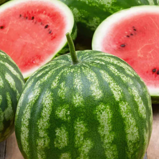 Organic Watermelon Plant, Cal (California) Sweet (Bush) - 3.5" pot