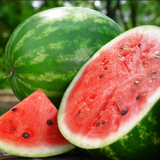 Organic Watermelon Plant, Crimson Sweet - 3.5" pot