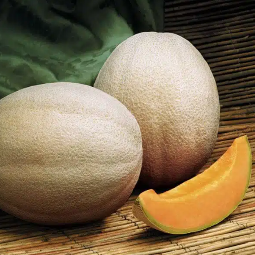 Organic Cantaloupe Plant, Aphrodite - 3.5" pot