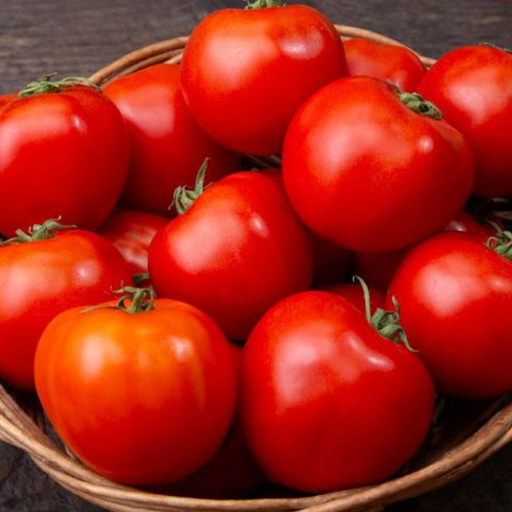 Organic Tomato Plant, New Girl