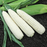 Organic Corn Plant, Natural Bright - 4 pack