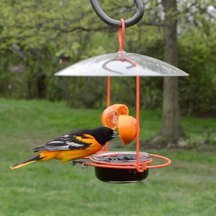 Wire Oriole Feeder